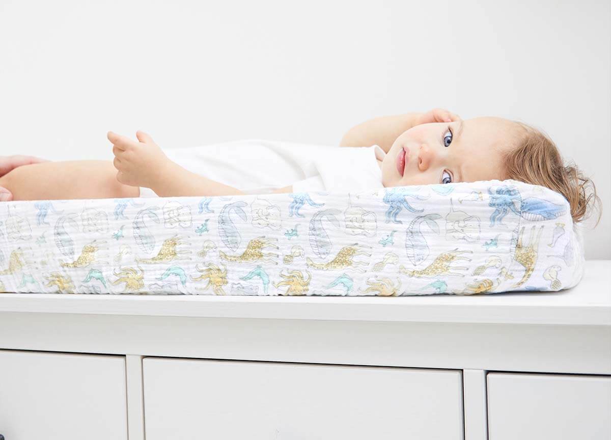 Prvi počeci brenda Aden+Anais